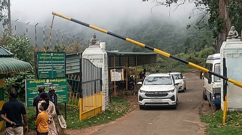 புலிகள் நடமாட்டம் உள்ள நிலையில் பேரிஜம் ஏரிக்கு தடையை மீறி சென்றவர்கள் யார்? - சர்ச்சையில் வனத்துறை