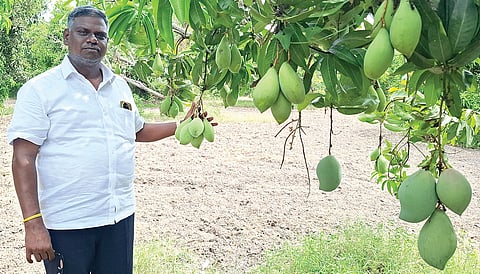 மாந்தோப்பில் மனோகர்
