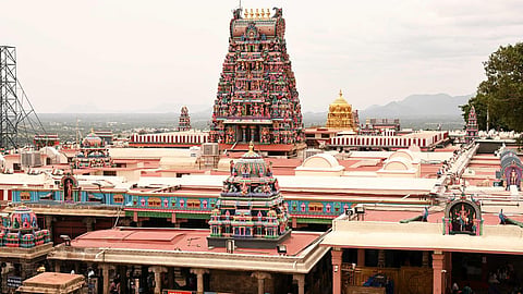 பழநி கோயிலில் விரைவு தரிசனத்துக்காக ரூ.3,000 லஞ்சமாக பெற்ற காவலாளிகள் 3 பேர் பணி நீக்கம்