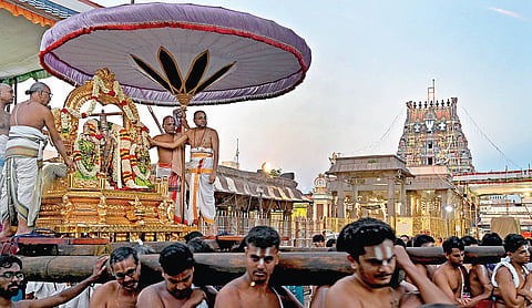 | படம்: ம.பிரபு |
