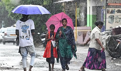 வானிலை முன்னறிவிப்பு: நீலகிரி, கோவை, திண்டுக்கல், தேனிக்கு கனமழை வாய்ப்பு