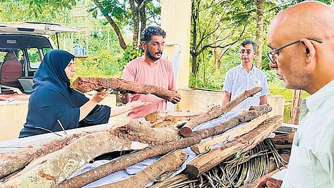 கேரளா: இறந்த இந்து முதியவருக்கு முஸ்லிம் பெண் இறுதிச் சடங்கு