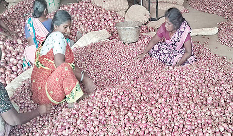 திண்டுக்கல்லில் இருந்து வெளிநாடுகளுக்கு வெங்காயம் ஏற்றுமதி