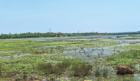 கடலூர் கேப்பர்மலை அருகில் உள்ள கொண்டங்கி ஏரி பராமரிப்பின்றி காணப்படுகிறது.