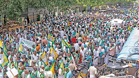 | படம்: ம.பிரபு |