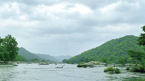 மேகேதாட்டு பிரச்சினையும் தமிழக விவசாயிகளின் புரிதலும்