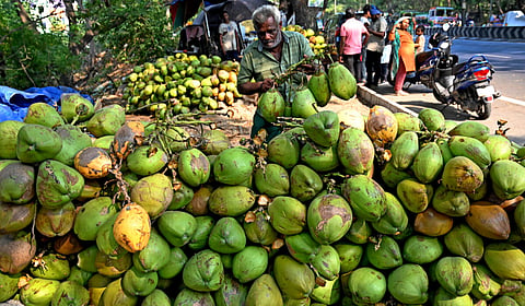 படம்; ம.பிரபு