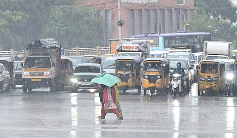 படம்: வேளாங்கண்ணி ராஜ்