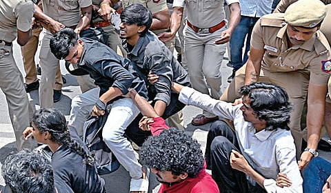 | படம்: எஸ்.சத்தியசீலன் |