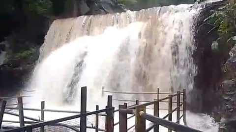 வெள்ளப்பெருக்கு: சுருளி அருவிக்கு சுற்றுலா பயணிகள் செல்ல வனத்துறை தடை