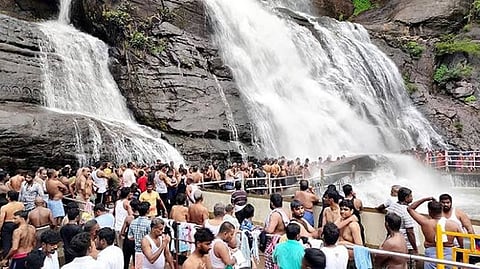 குற்றாலத்தில் சுற்றுலா பயணிகளின் பாதுகாப்பை உறுதி செய்ய சிறப்பு கண்காணிப்புக் குழு: உயர் நீதிமன்றம் உத்தரவு