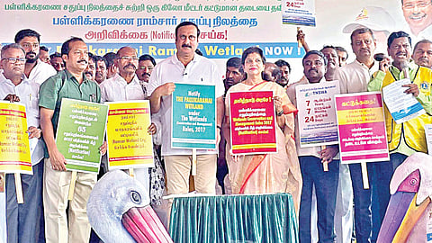 பள்ளிக்கரணை சதுப்பு நிலத்தை அறிவிக்கை செய்ய வேண்டும்: துரைப்பாக்கத்தில் அன்புமணி, சவுமியா விழிப்புணர்வு பிரச்சாரம்