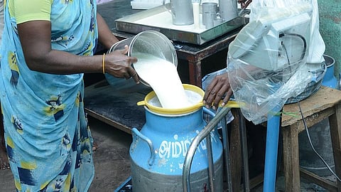 பால் கொள்முதல் விலையை உயர்த்திய முதல்வர் விஜய்க்கு பால் முகவர்கள் சங்கம் நன்றி!