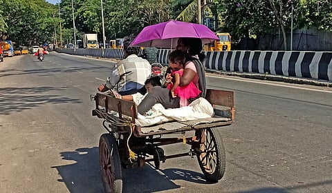 கோப்புப் படம் 