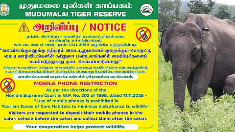 முதுமலையில் வாகன சவாரி செல்லும் பயணிகள் செல்போன் பயன்படுத்த தடை