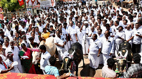 “ஜல்லிக்கட்டு சர்ச்சையில் முதல்வரின் மவுனம் சந்தேகத்தை ஏற்படுத்துகிறது” - ஆர்.பி.உதயகுமார்