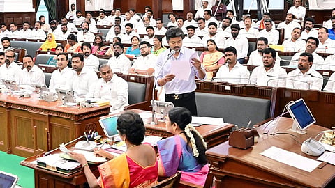சென்னை உயர் நீதிமன்றத்தின் முதன்மை மொழி தமிழ்: பேரவையில் தனித் தீர்மானம் நிறைவேற்றம்