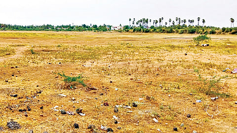 கடுமையான வறட்சி காரணமாக முற்றிலும் வறண்ட நிலையில் உள்ள அரூர் பெரிய ஏரி.