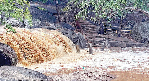 திருவண்ணாமலை மாவட்டம் ஜவ்வாதுமலையில் உள்ள பீமன் நீர்வீழ்ச்சியில் ஆர்ப்பரித்து கொட்டும் வெள்ளம்.