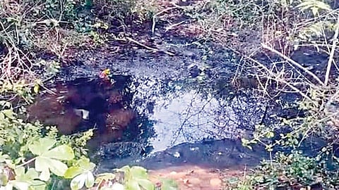 செங்கல்பட்டு: கூடலூர் ஏரியில் ரசாயனக் கழிவுகள் - 4,000 குடும்பங்களின் குடிநீர் ஆதாரத்துக்கு ஆபத்து?