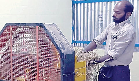கல்வராயன் மலையில் காளான் புரட்சி