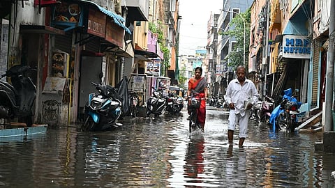 எல்நினோ பாதிப்புகளை தடுக்க நடவடிக்கை: வல்லுநர் குழு பரிந்துரை