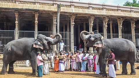 ஸ்ரீரங்கம் கோயில் வைகுண்ட ஏகாதசி பெருவிழா - முகூர்த்தக்கால் நிகழ்வு கோலாகலம்