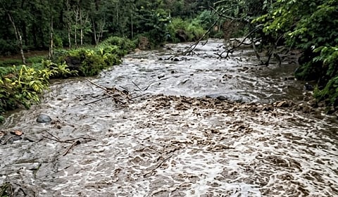 கொடைக்கானலில் காட்டாற்று வெள்ளம்