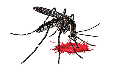 தமிழகத்தில் ஒரே நாளில் 332 பேருக்கு டெங்கு காய்ச்சல்