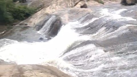 மேற்கு தொடர்ச்சி மலைப் பகுதியில் கனமழை எதிரொலி - சதுரகிரி மலையேற பக்தர்களுக்கு தடை