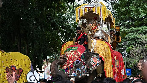 திருவிழா யானைகள்: விதிமீறல்கள் கூடாது