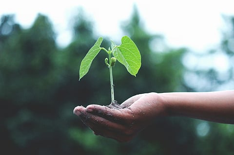 Adani Green Energy Gallery in UK to explore sustainable energy options to fight climate change