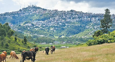 Champhai town