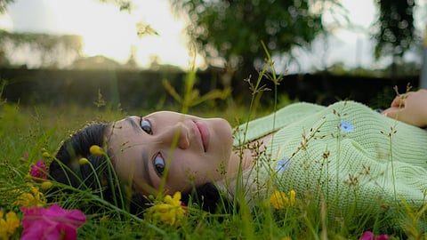In frame: gini