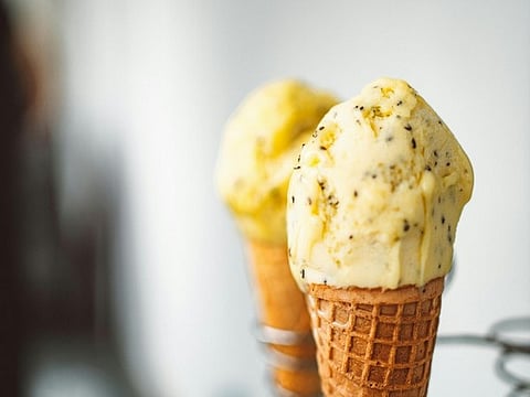 Lizard tail found in popular ice cream brand prompts sealing and fine