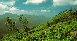 In Frame: Representative image
