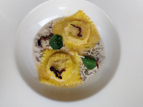 Chicken ravioli