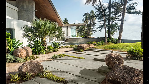 Is biophilic design the hottest trend?