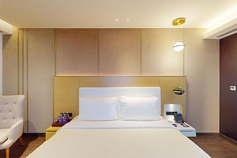 Biophilia Suites