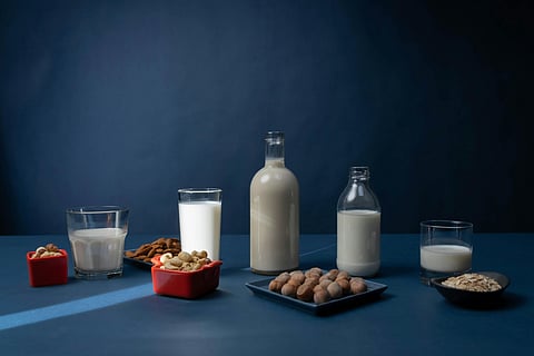Lactose free milk substitutes