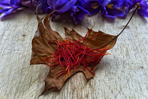 Image used for representational purposes. (Source: Pixabay)