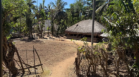 We explore Kuruba culture, tribal settlements and culinary delicacies of Kabini — one of Asia’s largest tiger reserve