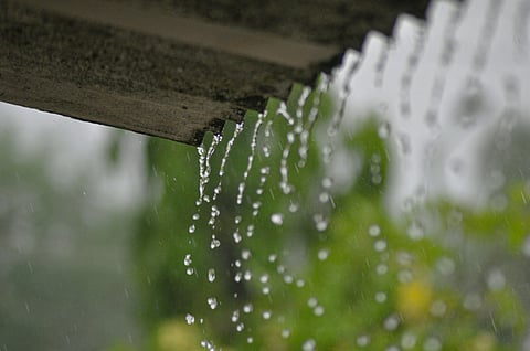 Balcony gardening tips for beginners to harvest rainwater easily