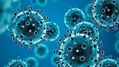 COVID-19 cases rise in India: States issue fresh advisories for travellers