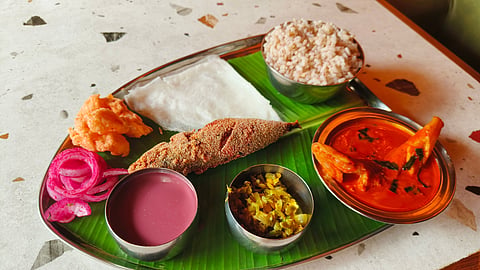 Fish Meals
