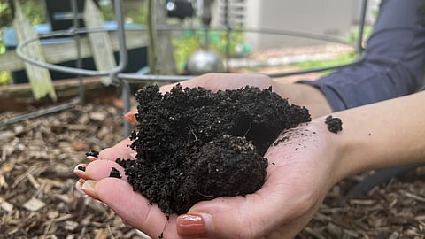 Gardening and mental health: Why getting your hands dirty helps