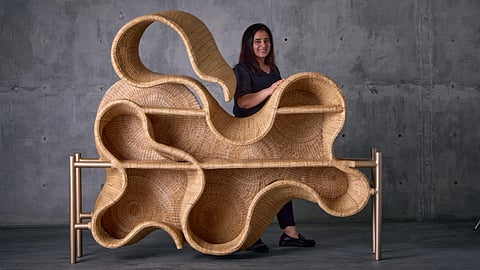 Whispers of the Wildwood Collection by The Wicker Story