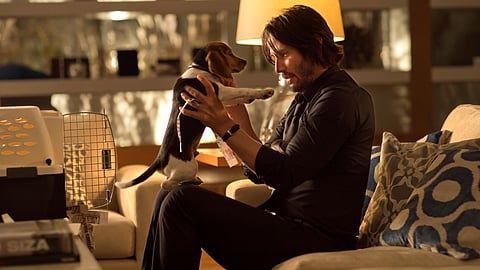 John wick loosely inspired on a real Navy SEAL?