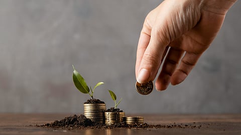 Large cap funds