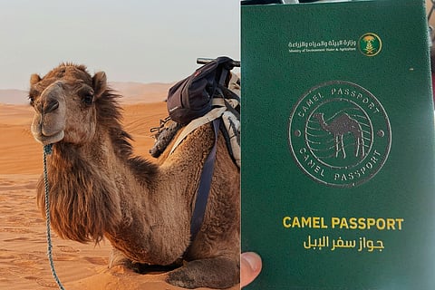 Did you know Saudi Arabia is now issuing passports for camels?